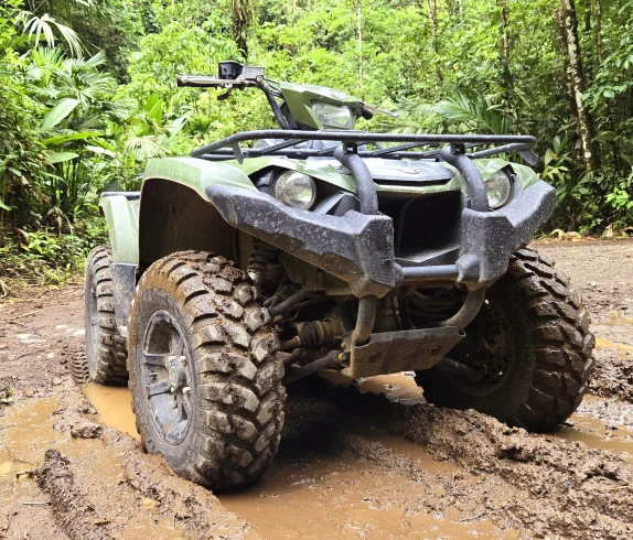 Off-road quad bike in jungle